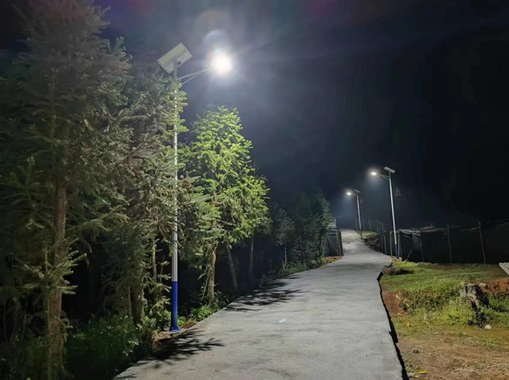 任嘉伦荔枝公益援建“嘉兴路”助力乡村振兴