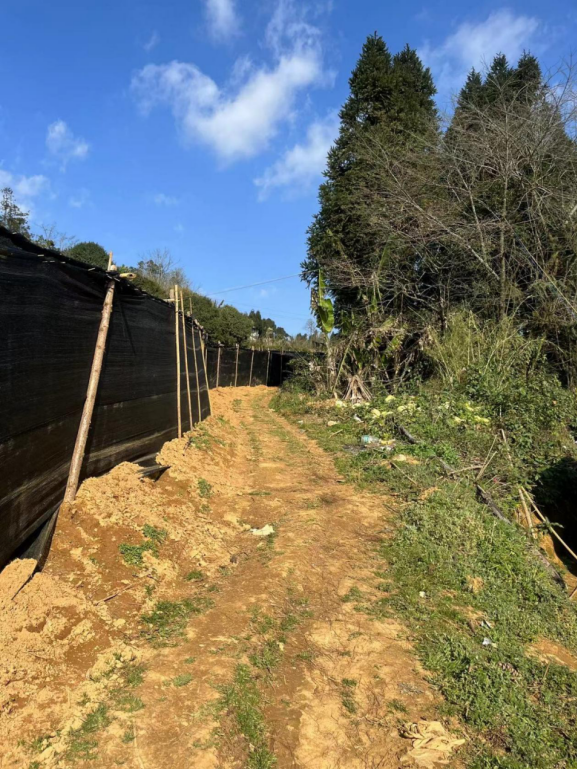 任嘉伦荔枝公益援建“嘉兴路”助力乡村振兴