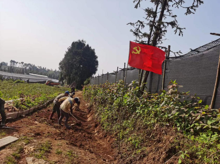 任嘉伦荔枝公益援建“嘉兴路”助力乡村振兴