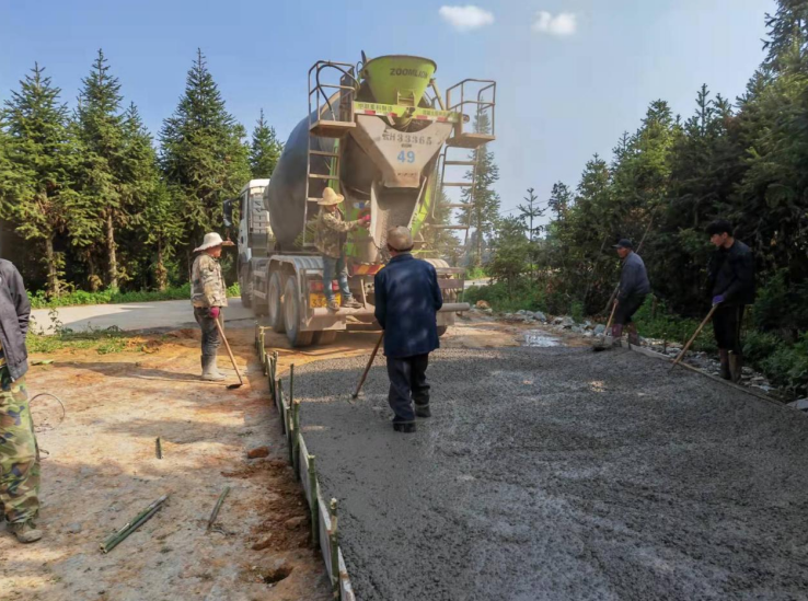任嘉伦荔枝公益援建“嘉兴路”助力乡村振兴